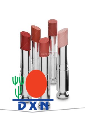 Skin Care And Cosmetics